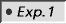 Exp1