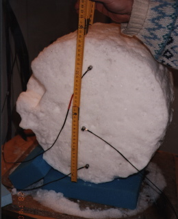 (Ice Body with Sensors)